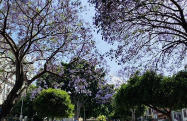 HomeForGuest Design Attic Apartment FREE Parking - Foto 33