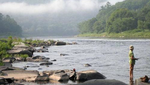 Charming Cottage Rental with Antique Decor in Narrowsburg, New York - Foto 5