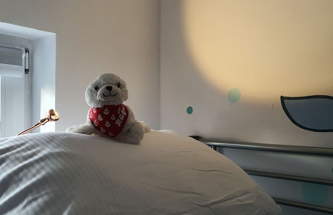 Ferienwohnung Walfisch - Foto 12