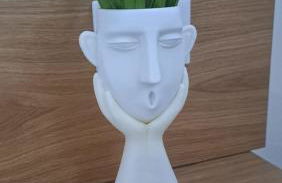 Giglio 2 Le Foglie - Foto 11