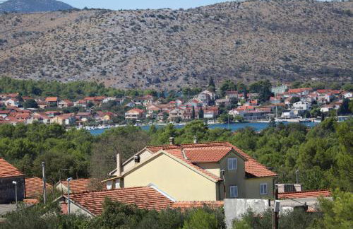 Dalmatian - Photo 42