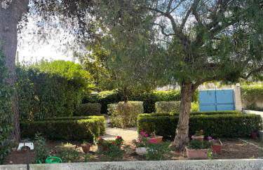 Midori-an 緑庵 - The Garden - Foto 76