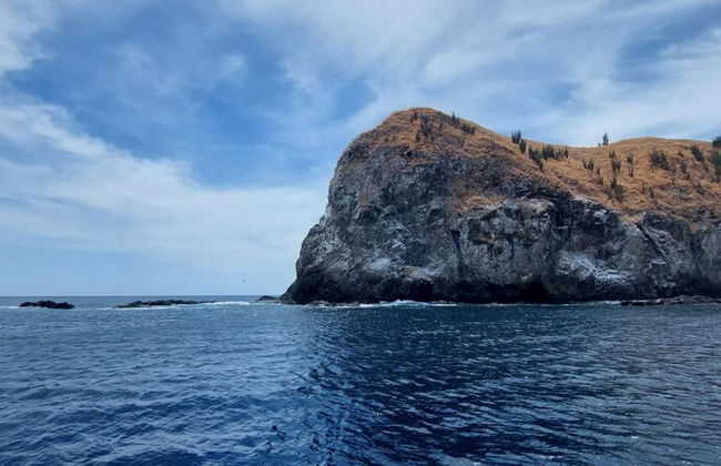 Container w Pool Backyard Parking BBQ Kitchen More in Playa Potrero - Photo 5