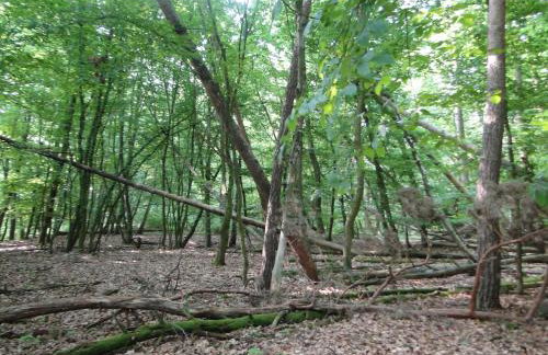 Siedlisko Na Szlaku Odry - Foto 28