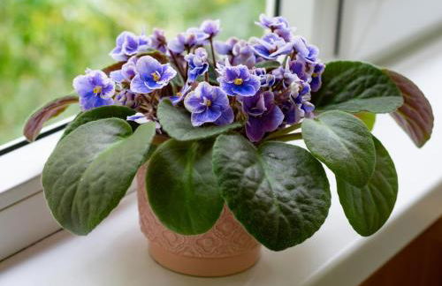 50 Papiniano apartment - Foto 19