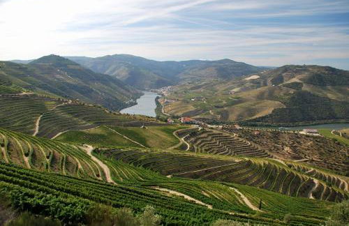 Douro Valley-Casa do Vimieiro - Foto 49