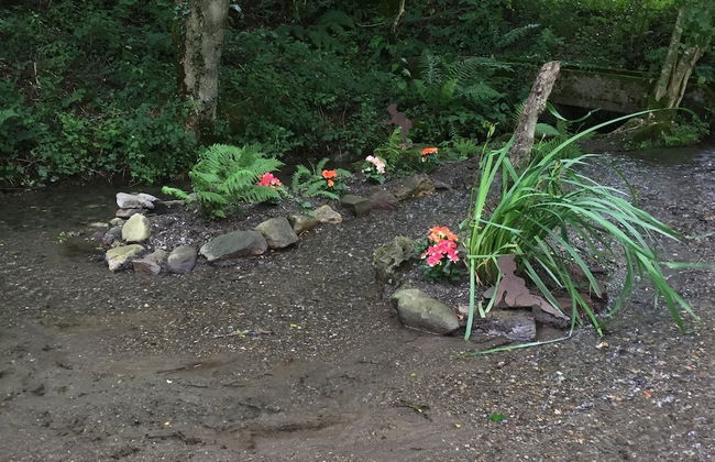 Gite Belle Vie - Foto 23