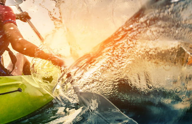 Tour en kayak por las islas Medas - Foto 5