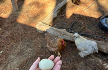 Cozy Cabin Escape - Foto 18