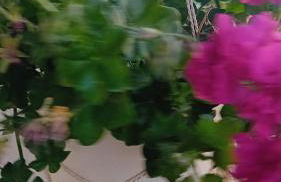 Studio Despoina - Foto 38