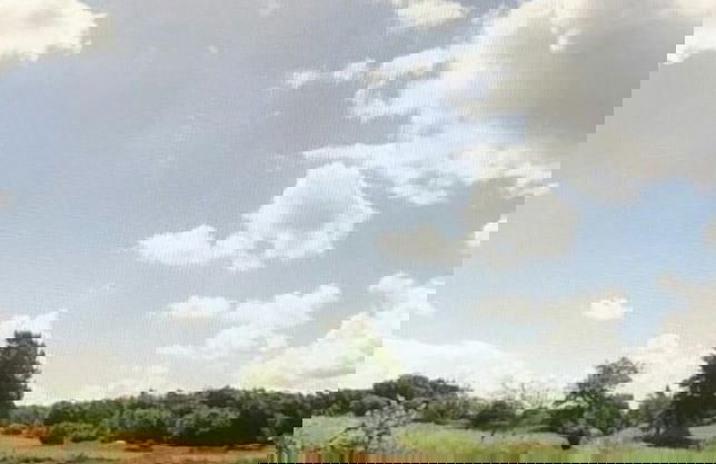 Trädgårdshuset i Sankt Olof - Foto 40