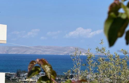 Roboboss Garden Rooms - Foto 29