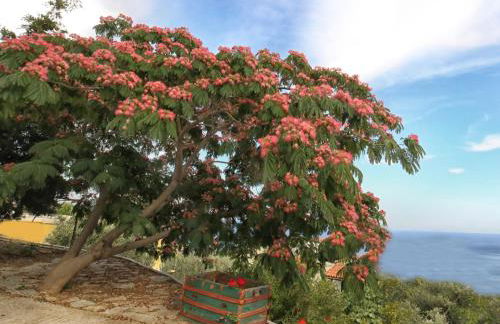 Pyrgos Traditional Village - Foto 34