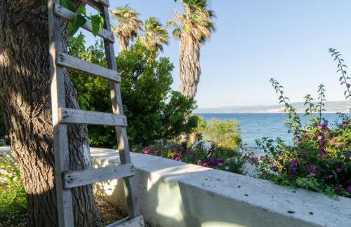 Residence Albatros - Foto 79