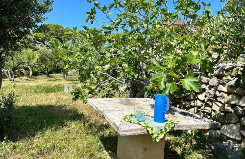 Villa Roseal - Foto 19