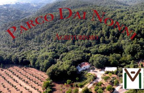 Agriturismo Parco dai Nonni - Foto 1