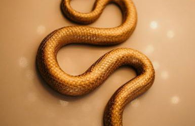 Maison M Saphir love Room jacuzzi - Foto 29