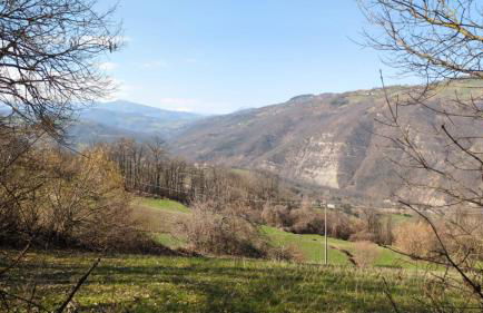 B&B dei Forestieri - Foto 23