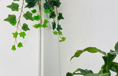 La Fonda de la Calle Ancha - Foto 16