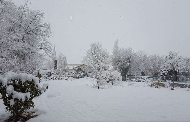 Masetto Egidio Agritur - Foto 63