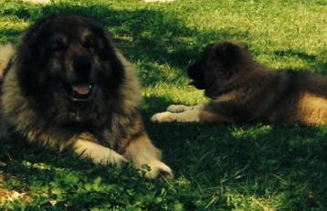 I Giardini Di Margius - Foto 52