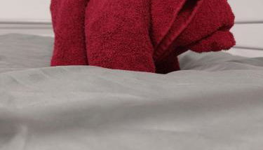 FeWo Gartenblick - Foto 3, towels