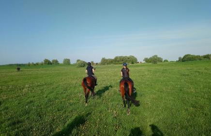 Reiterhof Groß Stubben - Foto 25