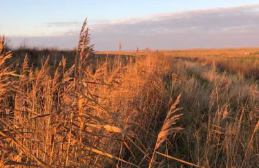 Willow Cottage at Gravel Farm - Photo 38