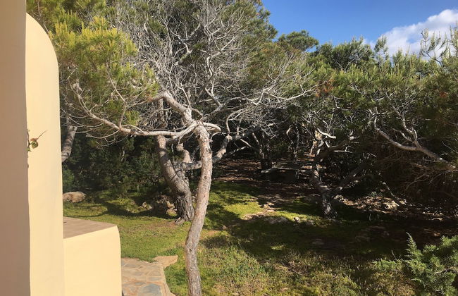 Carpe Diem - Photo 37