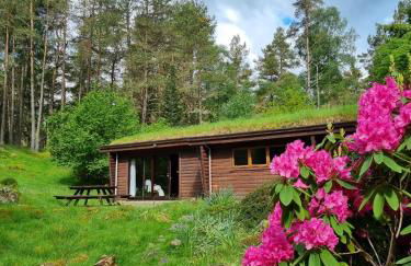 Our Log House in the woods - Photo 59