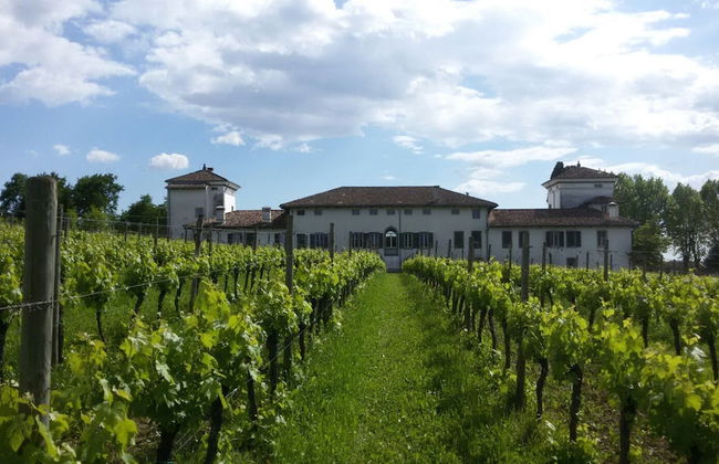 Villa Dragoni - Foto 48