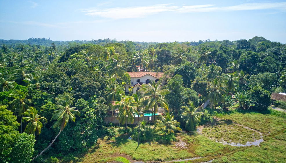 Galle Henna Estate - Foto 1, Imagen principal