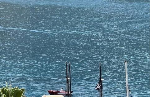 Bella Vista - Foto 34