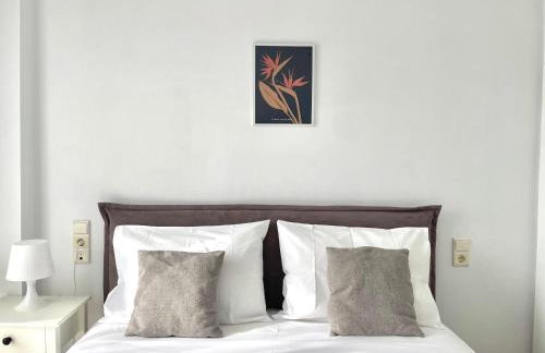 Olea in the city - Foto 11