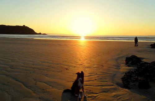 L'Effraie des Clochers - Foto 40