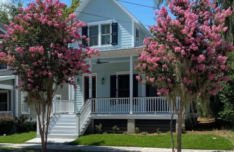 Newly Listed Duke St Cottage - Downtown Beaufort - Foto 1