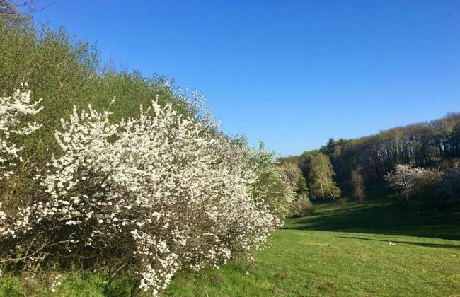 House in Bohemian Near Ski Slope - Foto 34