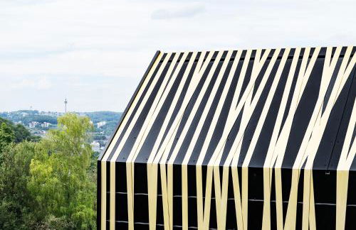 1Step2AllStars Baumhaus - Foto 8