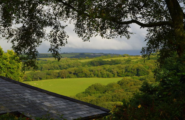 Shipload Cottage - Photo 17