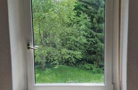 Altes Zollhaus im Wald - Foto 62