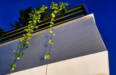 Residence ǁ Corino - Foto 47