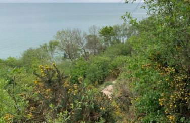 Shangri la at Beauport - Foto 33