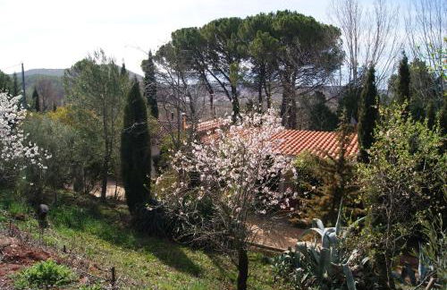 Casas Rurales Los Cortijos - Foto 19