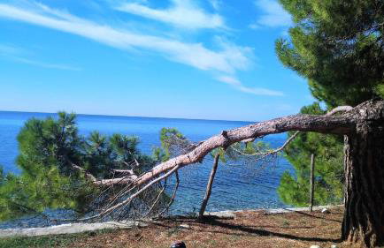 Apartment ire' - Foto 29