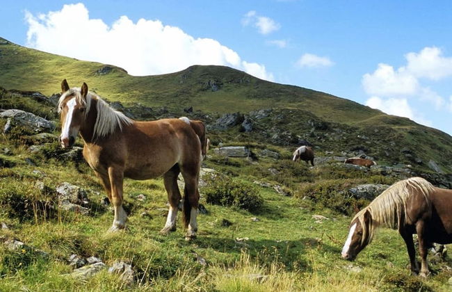 Spacious Apartment in Saalbach-hinterglemm near Ski Area - Foto 31