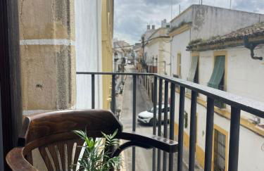 El Buen Porvenir Casa Palacio en Jerez - Foto 8