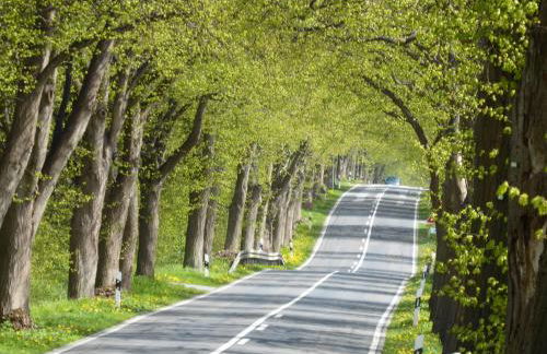 Fewo Rügen Böttger - Foto 30