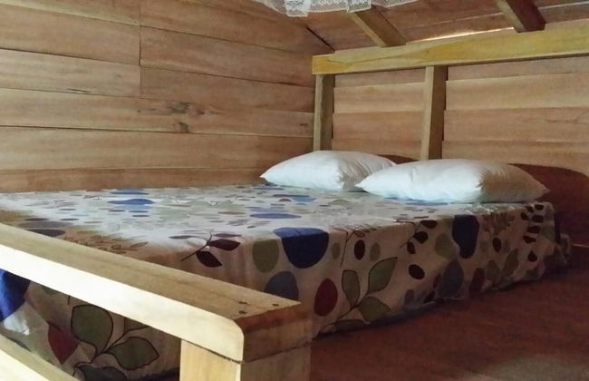 Wilpattu Tree House Hotel - Foto 10