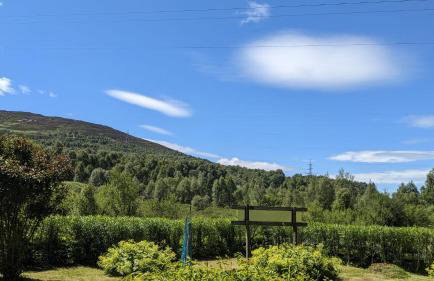 Studio cottage - Foto 6