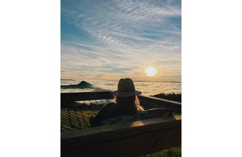 Casa de Vidro - Foto 66